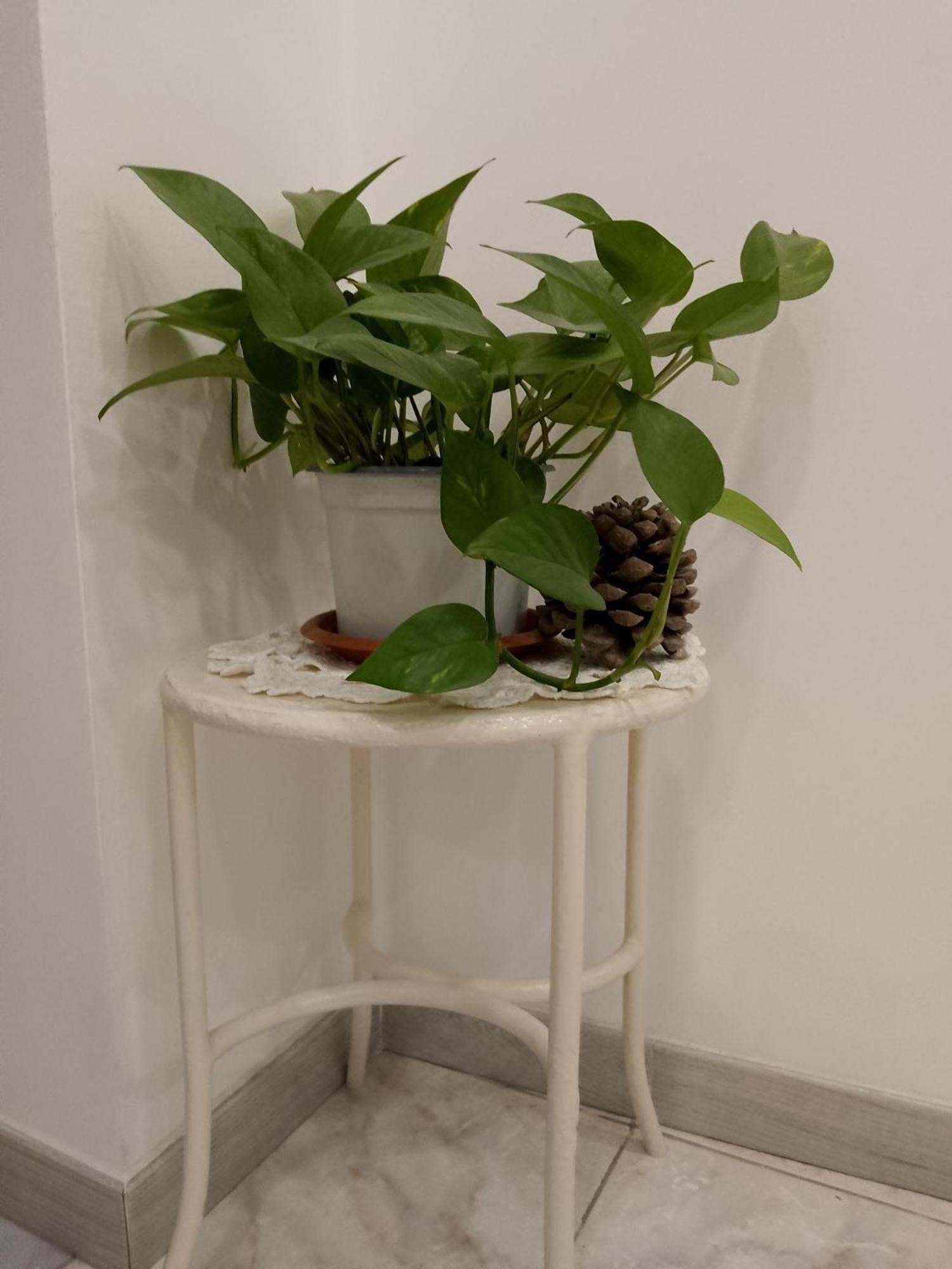 Le Casette Di Nonna Rosa In Fontanarossa Catania Airport Εξωτερικό φωτογραφία