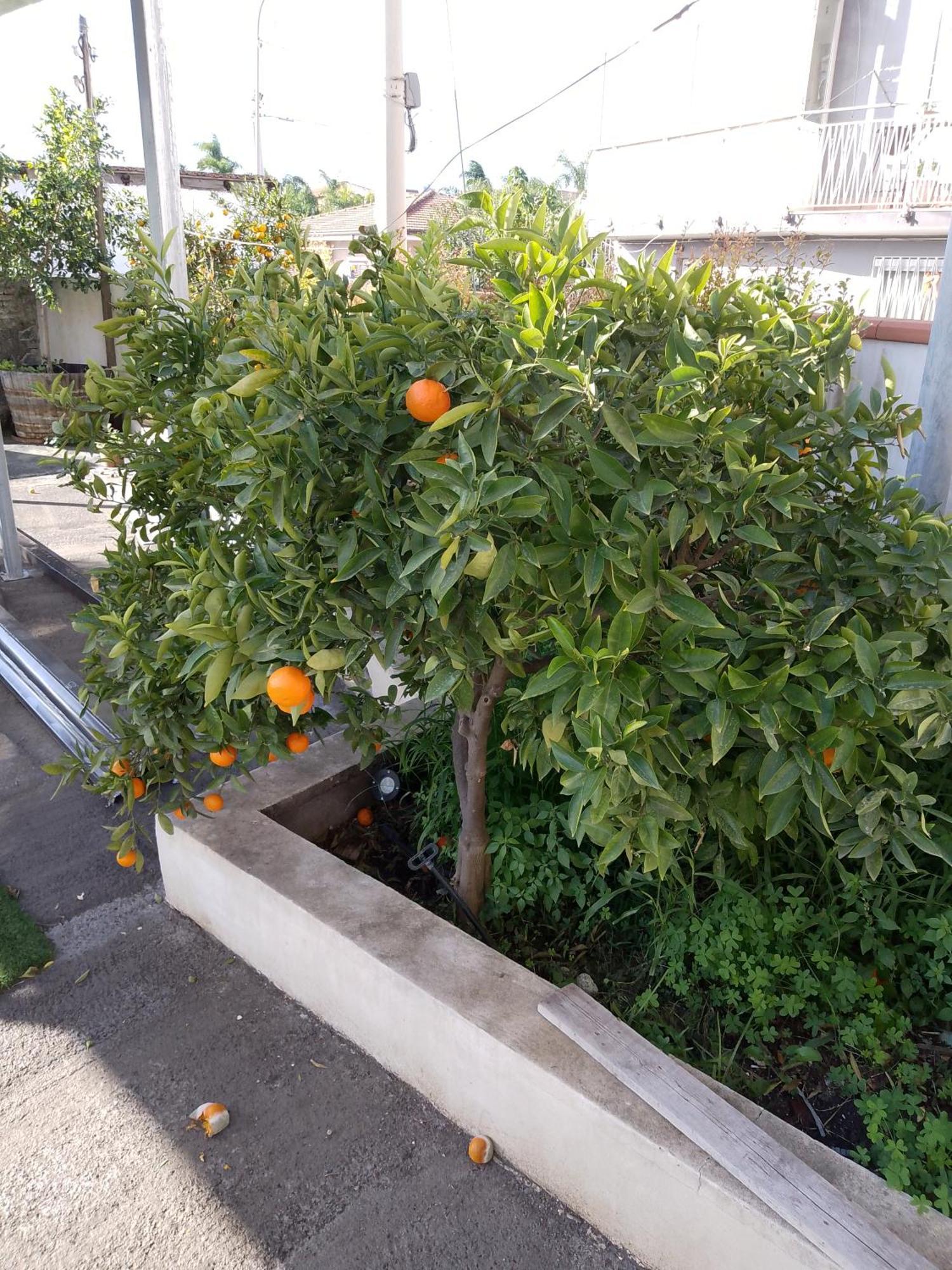 Le Casette Di Nonna Rosa In Fontanarossa Catania Airport Εξωτερικό φωτογραφία